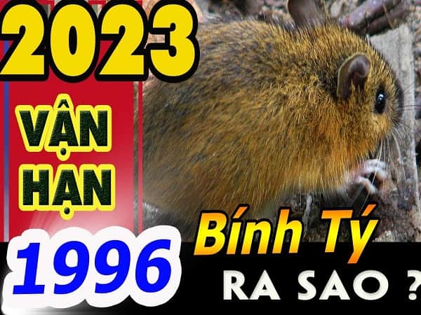 Thầy phán vận hạn tuổi Bính Tý 1996 năm 2023 nữ mạng