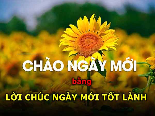 Lời chúc ngày mới ý nghĩa nhất - Nguồn động lực cho một ngày tuyệt vời