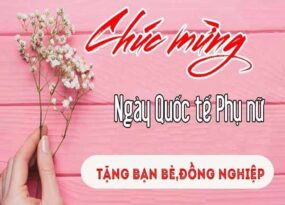 Những lời chúc 8/3 cho đồng nghiệp đầy ý nghĩa và đầy tình cảm