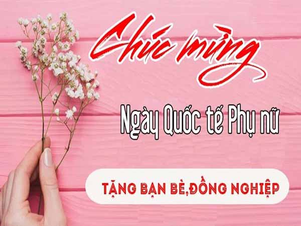 Những lời chúc 8/3 cho đồng nghiệp đầy ý nghĩa và đầy tình cảm