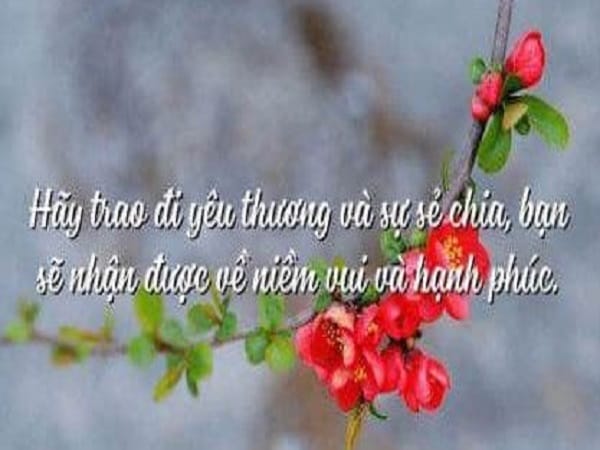 "Tổng