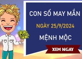 Con số may mắn mệnh Mộc 25/9/2024 gia tăng vượng khí